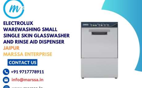 Electrolux Warewashing Small Single Skin Glasswasher and Rinse Aid Dispenser Jaipur